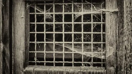 Lovitură pentru torționari! Vot crucial în Parlament: Se taie pensiile celor care au săvârșit infracțiuni contra umanității