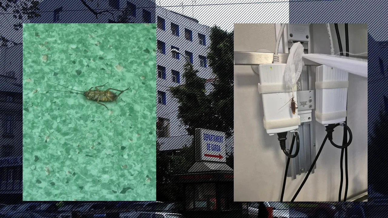 Prima REACȚIE oficială a Spitalului Floreasca, după imaginile cu GÂNDACI de la Centrul de Arși: 