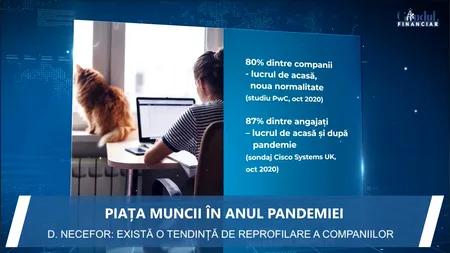 Piața muncii în anul pandemiei: Predomină superficialitatea și neseriozitatea. Ce caută angajații și ce vor angajatorii?