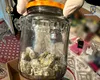 DIICOT, obligată să restituie unei familii de români canabisul confiscat. Ce s-a întâmplat, de fapt