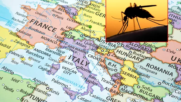 Statul european popular în rândul turiștilor în care s-a detectat un virus tropical. Un bărbat a fost infectat după o înțepătură de țânțar