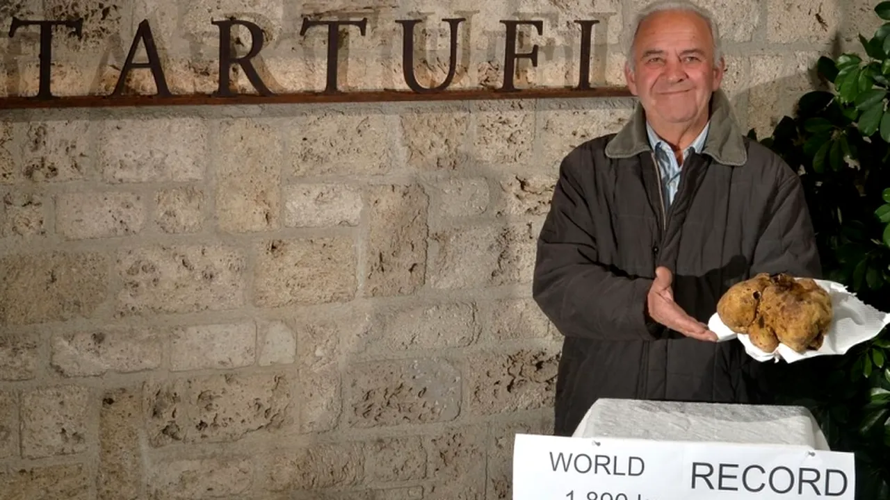 Cea mai mare trufă din lume a fost descoperită în Italia