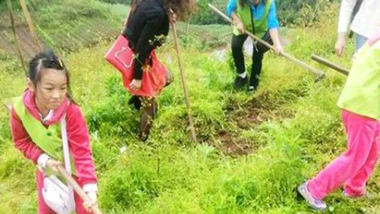 Motivul pentru care o mamă din China a închiriat un munte întreg