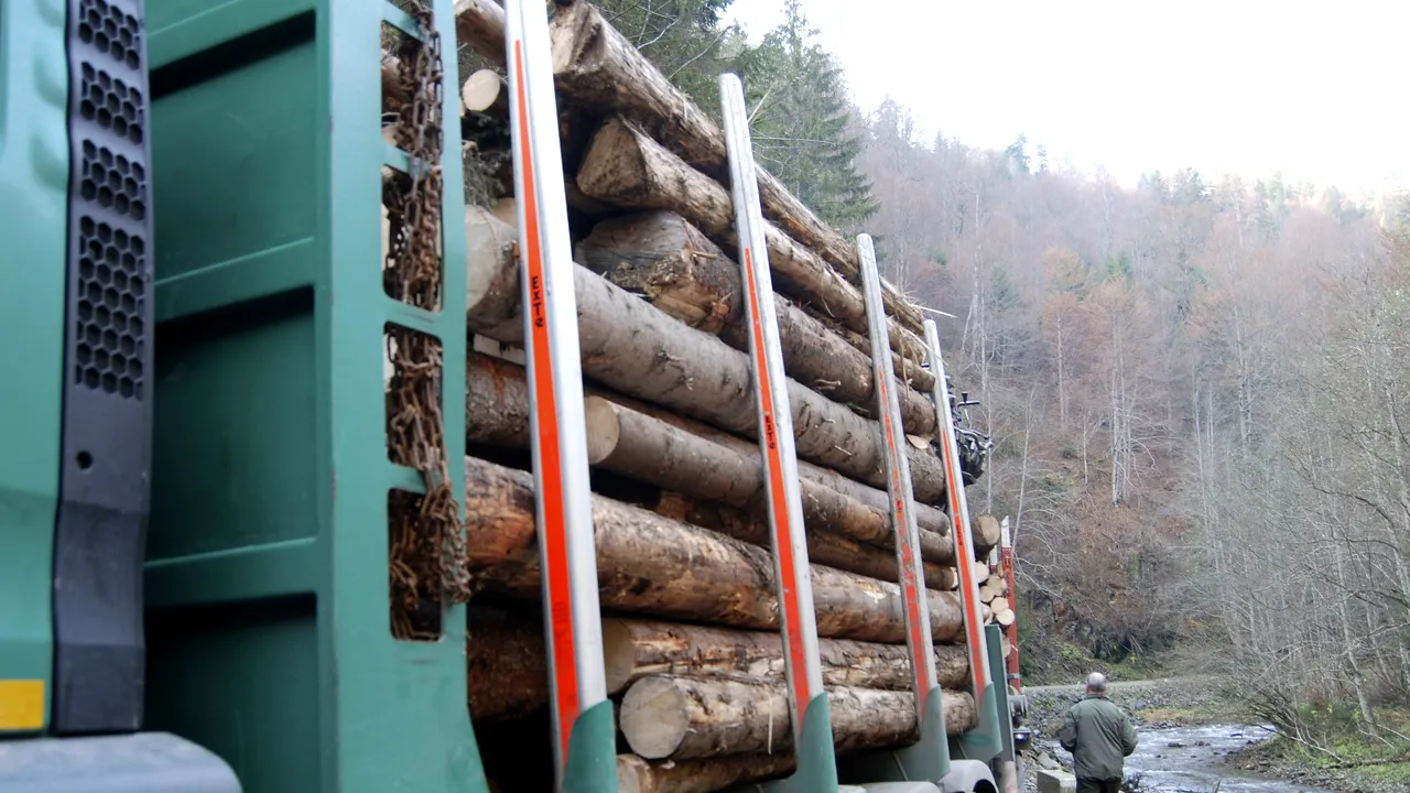 Holzindustrie Schweighofer, companie aflată în mijlocul unui scandal declanșat de un clip realizat cu camera ascunsă, amenință că s-ar putea retrage din România