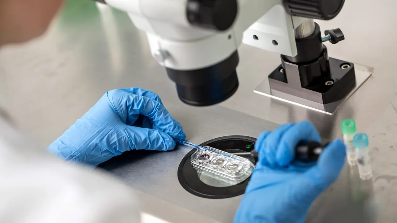 Caz fără precedent la Iași: o femeie cere în instanță dreptul de a deveni mamă folosind embrionul conceput cu soțul decedat