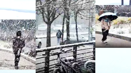 Ninsoare puternică în București, joi dimineață, în plin cod portocaliu