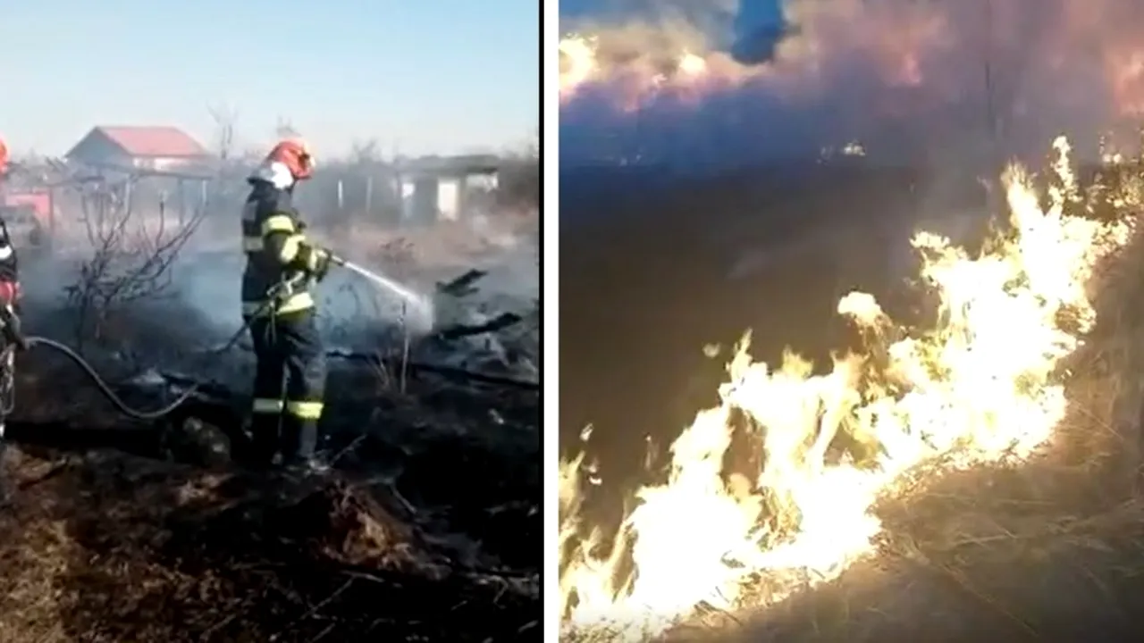 Incendii uriașe de vegetație în județul Argeș VIDEO