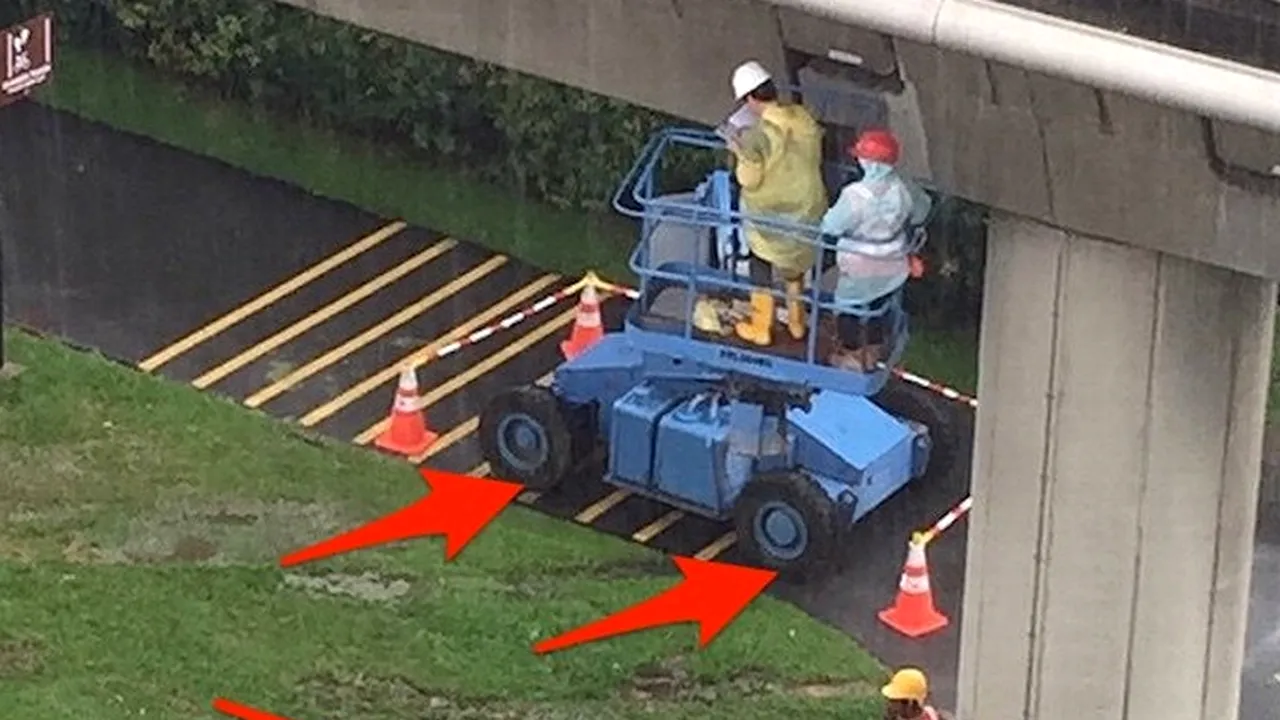 Observi ceva ciudat în această imagine? A devenit imediat VIRALĂ