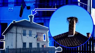 O barză a oprit încălzirea cu lemne în postul de poliţie din Călăţele. Şi-a făcut cuib pe coşul de fum