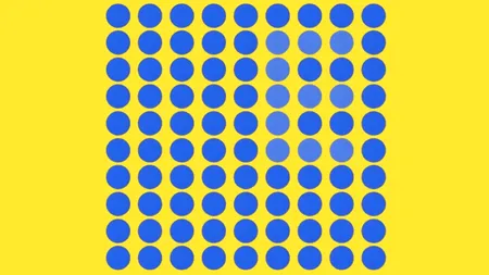 Test de logică | Identificați litera ascunsă în această iluzie optică