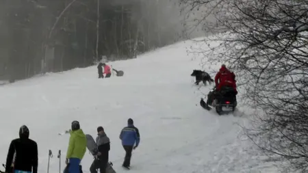 Schior fugărit de urs în Predeal, pe Clăbucet! (VIDEO)