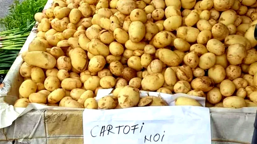 Cât ar putea costa CARTOFII, în acest an. Ce spun producătorii despre leguma preferată a românilor