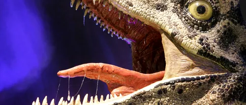 Dinozaurii Giganți din Argentina pot fi admirați, timp de trei luni, în București