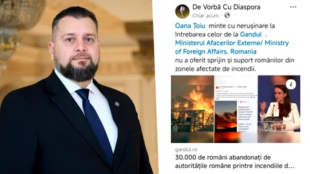 După dezvăluirile Gândul, un senator AUR solicită Oanei Ţoiu: 