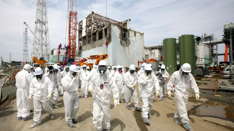Primele organisme mutante după radiațiile de la Fukushima: Au ANOMALII SEVERE