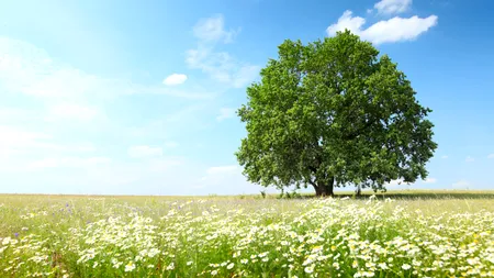 După frig și ploi, vine un aer tropical peste România. Temperaturi de peste 30 de grade în luna iunie