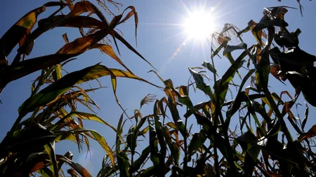 Agricultorii fac plângere penală împotriva ANM pentru dezinformare: 