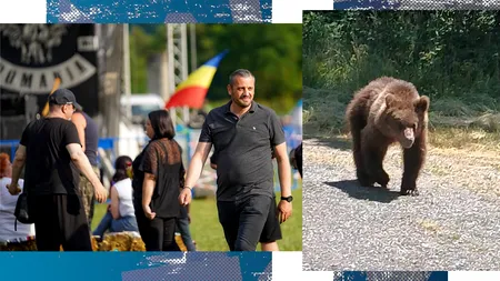 Revolta unui primar din Argeș, după tragedia cu motociclistul omorât de urs/