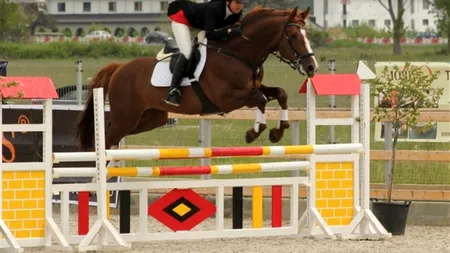 Primul concurs hipic internațional de sărituri peste obstacole, organizat în România după 7 ani de pauză. Premii de 45.000 de euro