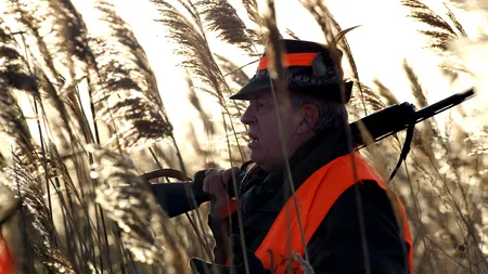 Romsilva a încasat 11 mil. euro din vânătoare și vânzarea de păstrăvi, fructe de pădure și ciuperci