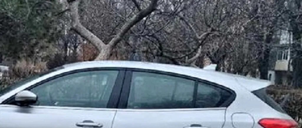 Cum s-au RĂZBUNAT niște locatari din Ploiești pe un șofer cu tupeu care a parcat pe trotuar. Cum a găsit mașina după doar câteva ore