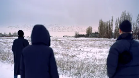 Cine sunt românii care în iarna lui 2023 îngheață de frig în CONTAINERE/Povestea orașului-fantomă, plin de sinistrați, nu locuitori