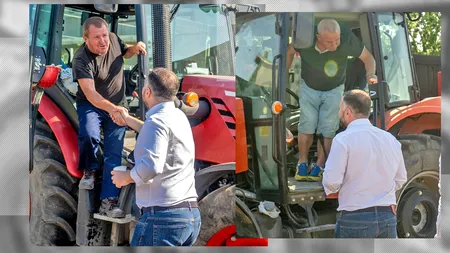 Nea Viorel și nea Costel lucrează de o viață la primăria Sectorului 5: Rareș Hopincă, city manager: „Ei au cărat copacii la Parcul Izvor”