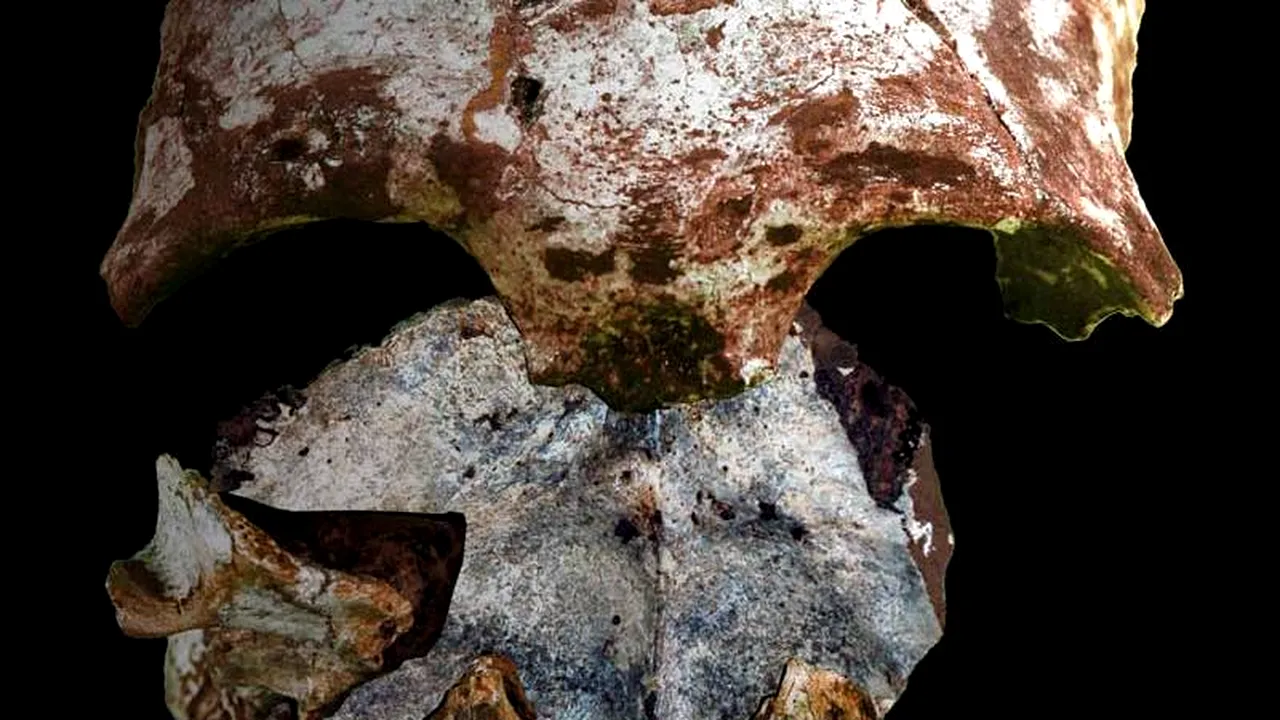 Descoperire în Asia: cele mai vechi oase ale omului modern găsite vreodată pe acest continent