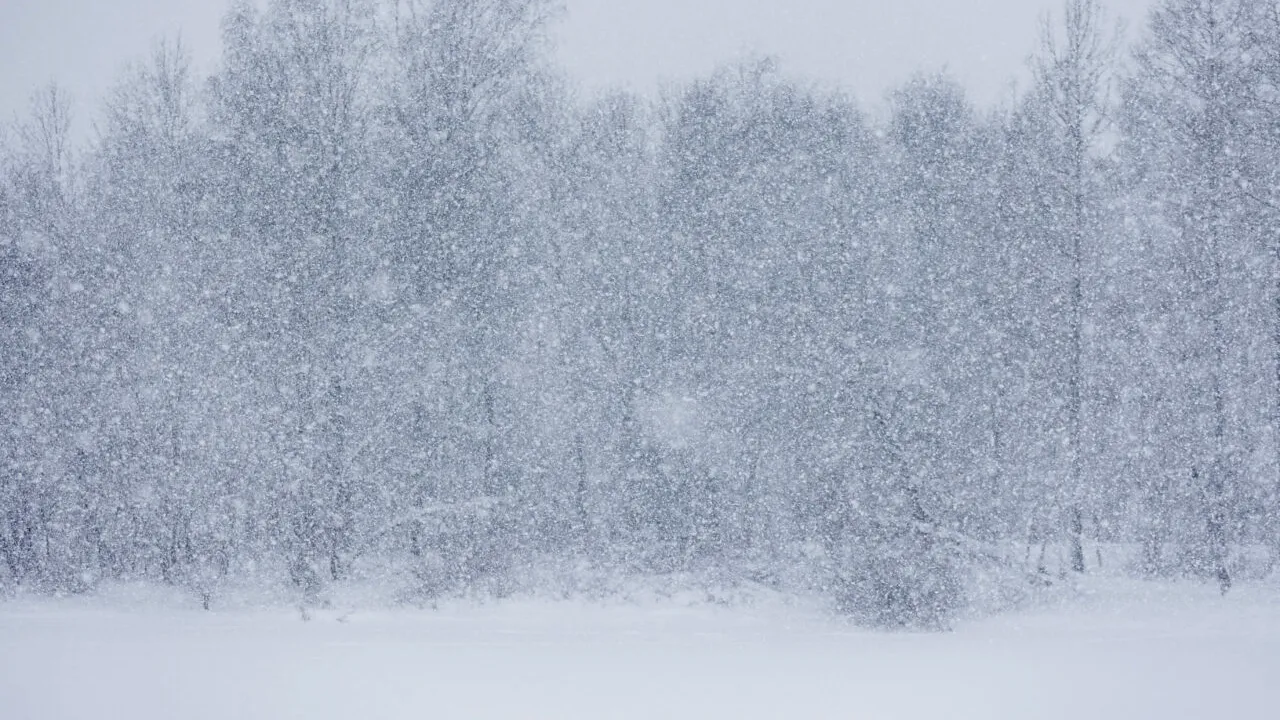 ANM a prelungit avertizările de vreme extremă. E cod galben de vânt, viscol și strat de zăpadă în aproape toată țara