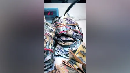 VIDEO | Inedit: Un român a mers cu mai multe teancuri de bancnote topite la BNR. Ce răspuns a primit