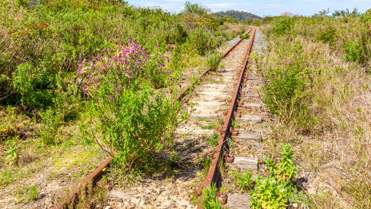 Mocănița din Vâlcea, simbol al patrimoniului industrial, ar putea fi readusă la viață