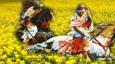 Cei are își fac selfie-uri în lanul de rapiță, avertizați de polițiști: „Aveți grijă unde opriți! Nu dați unfollow la normele rutiere