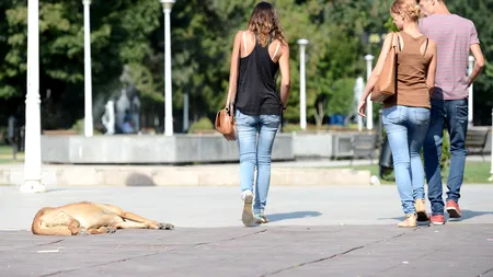 Moartea lui Ionuț lasă în urmă durere și revoltă față de o problemă cotidiană