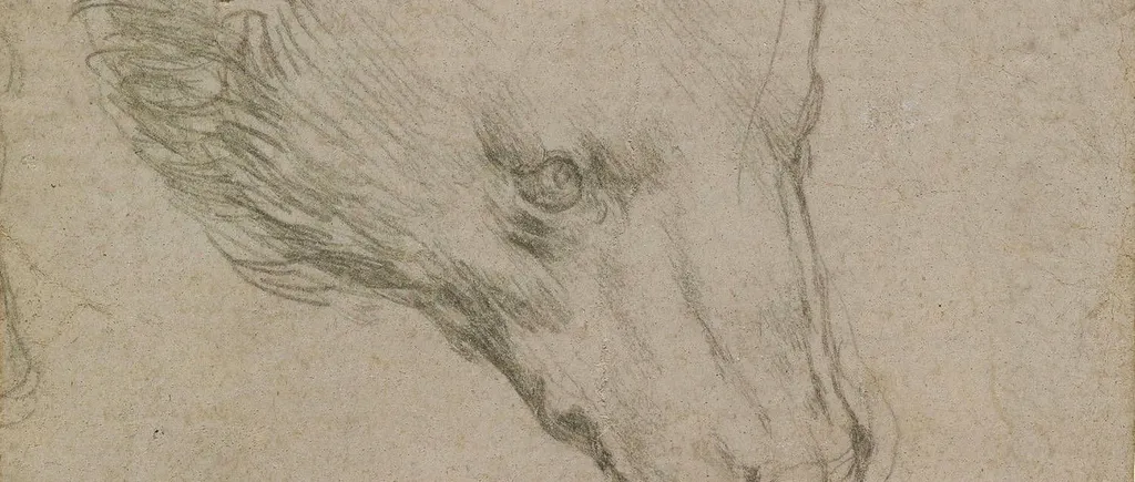Cap de urs, desen de Leonardo da Vinci pe numai 7 cm pătrați. Prețul incredibil cerut la licitație!
