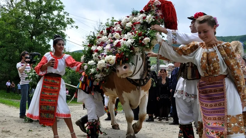 RUSALII 2012 - tradiții neobișnuite.  La Bistrița-Năsăud, are loc Înstruțatul boului