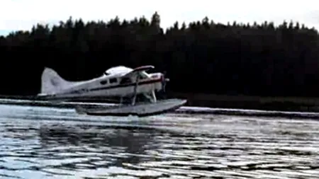 Cum a evitat pilotul unui hidroavion o balenă în ultima secundă