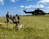 Elicoptere ale Forţelor Aeriene Române aflate în timpul unui exerciţiu au identificat o tânără de 18 ani grav rănită în Masivul Ceahlău
