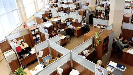 Angajații din România vor avea acces online la datele proprii din REVISAL