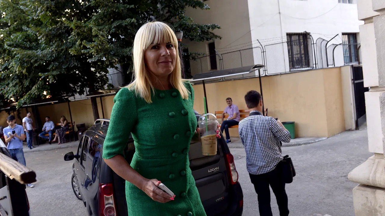 Elena Udrea a sesizat Comisia de control SRI în dosarul Gala Bute