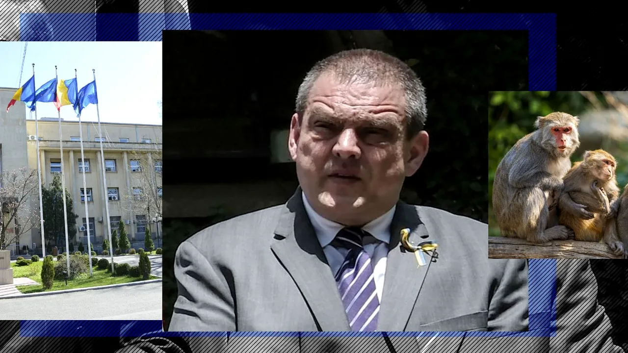 EXCLUSIV | Ambasadorul României în Kenya a fost chemat în țară după o reclamație a diplomaților ruși la Nairobi. Când merge la MAE la consultări