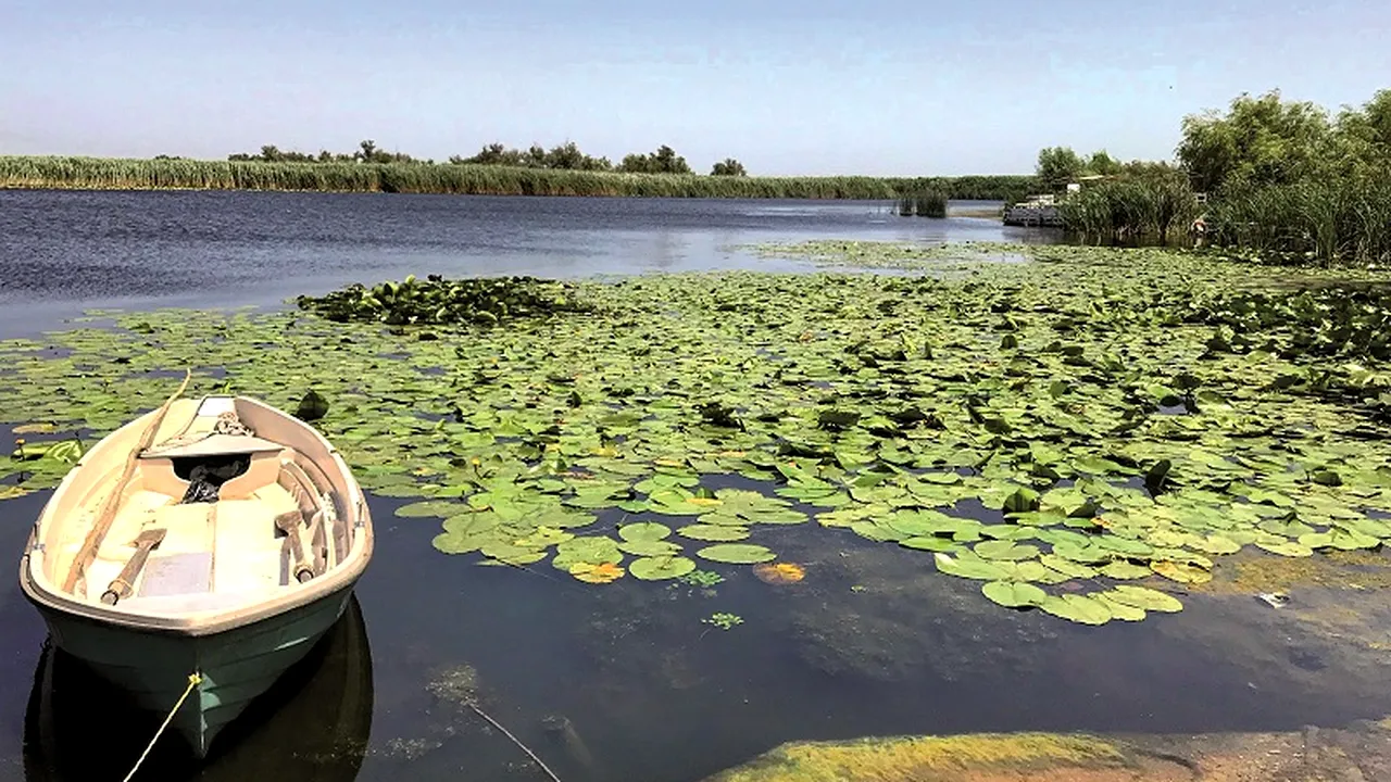 Un bărbat de 69 de ani a fost salvat după ce a căzut într-un canal din Delta Dunării