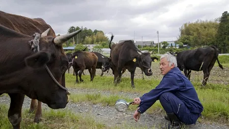 Singurul om care trăiește în zona radioactivă Fukushima. Motivul este impresionant