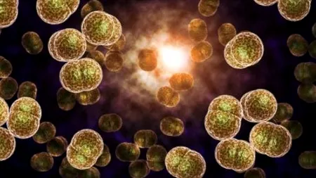 Avertisment mondial: O boală cu transmitere sexuală nu va mai putea fi tratată. 78 de milione de oameni suferă în fiecare an