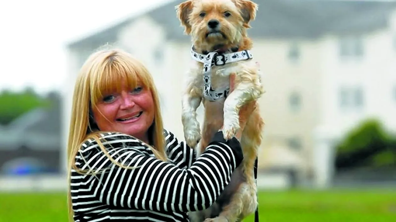 Unde și-a regăsit fericirea maidanezul Basil, după ce a fost abandonat pe străzile din București