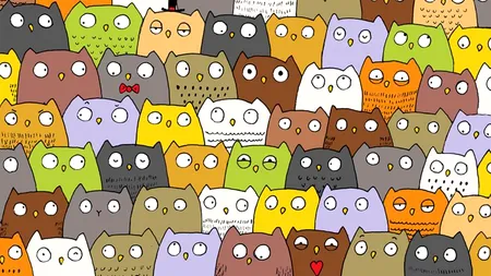 Ascunderea - o știință?