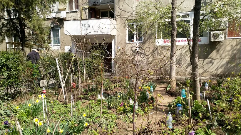 AMENZI pentru locatarii care vor să grădinărească! Ce pățesc românii care vor să își planteze zambile în grădina blocului, fără autorizația Primăriei