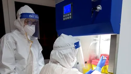 Șefi de laborator din Craiova, vizați de procurori: Refuzau probele DSP și prelucrau testele COVID-19 pentru românii care plecau în vacanță