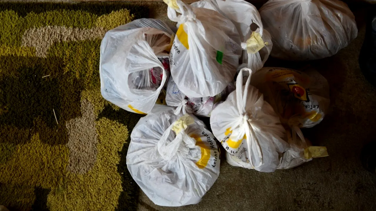 Razie la braconierii din GORJ și Vâlcea/Doi mistreți, împușcați la o vânătoare ilegală în Bumbești