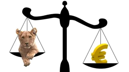 Curs valutar BNR. Moneda națională câștigă teren în fața dolarului american. Euro creşte uşor