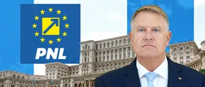 Drum deschis pentru „senatorul” Klaus Iohannis / D. Fenechiu confirmă că PNL lucrează la modificarea legii